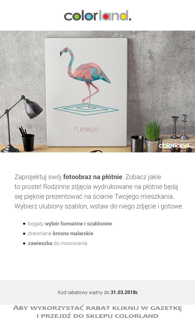 Gazetka promocyjna colorland str. 12